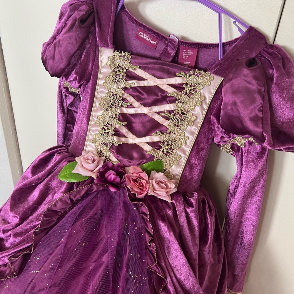 Disney Majestic Purple and Gold Princess Dress